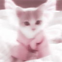 ꢤ Nooki ꢆ Discord server icon
