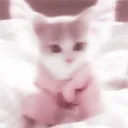 ꢤ Nooki ꢆ