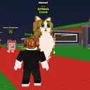 RobloxDevsTR