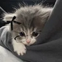 relaypals discord icon