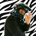Jonttu enjoyers (lmao)