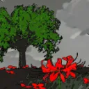 Roses Bloomed from Blood Bath | RBBB