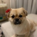 Reev ♛ ⛟'s server Discord server icon