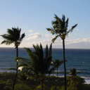 🌊;     𝑰𝑽𝐎𝐑𝐘  𝑬𝐒𝐓𝐀𝐓𝐄  𝐔𝐍𝐈.