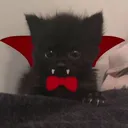 Vampire's Family