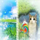 Meowl Appreciation  ★
