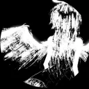 ʚ ⋆°࿔ missing angels 𝜗𝜚°⋆ɞ