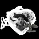 𑣲   𓂃   𝐭𝗵𝗲 𝓭𝗲𝗮𝗱𝗹𝗶𝗴𝗵𝘁𝘀 .