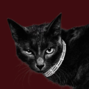 Cherry Élite ★ Discord server icon