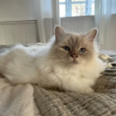 Discovery icon for Lofi Gaming 🌷 Discord server