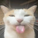 PoliTalk Discord server icon