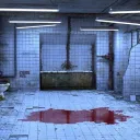 The Bathroom