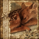 ꕤ Yume   ₊  forest 🍃 Discord server icon