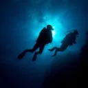 ──★ ˙🐡 ̟ !!⋆°࿔ Marine Lab 𝜗𝜚°⋆