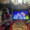 ⋆˚꩜｡ Moonpaw Cafe🌈 ᯓᡣ𐭩 Discord server icon