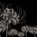 Twightlight Zone discord icon