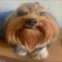 bean's editing shenanigans Discord server icon