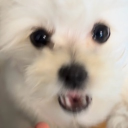 기억안나 Discord server icon