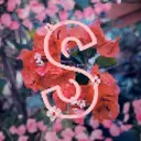 ✿ SpiritSMP ✿