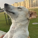 Looking for friends Discord server icon