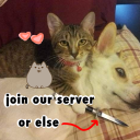 pupsheen warriors Discord server icon