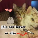 pupsheen warriors