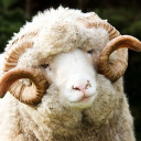 To Hieron Discord server icon