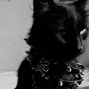 Anarchy | A Stateless Society Discord server icon