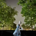 Server icon for ✧❣The Apiary❣✧