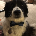 ᴄʀᴏssɪɴɢ ᴏᴠᴇʀ 🎧ྀི Discord server icon