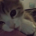 /recover Discord server icon