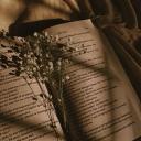 Beyond the script