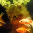 /PONDER 🌱 || Discord server icon