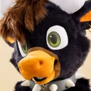 Unique Furries Hub