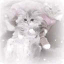 mimaow ᓚ₍ ^. .^₎ Discord server icon