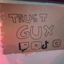 Trustgux's server