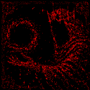 /wap - discord server icon