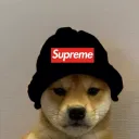 The Supreme Doges discord icon