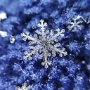 雪の家