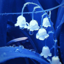 💤Midnight Dreamscape💤 Discord server icon