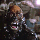 ✦ ⌇ ravaging rotters！[ZOMB tag]