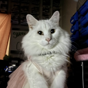 ⛧ 𝔠𝔲𝔩𝔱 𝔬𝔣 𝔞𝔨𝔲𝔟𝔞 ⛧ Discord server icon