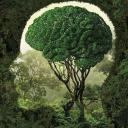 OpenMind - Punkt Wsparcia