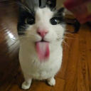 Free roleplay server !! Discord server icon