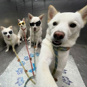 CHAOS CENTRAL Discord server icon