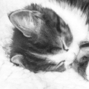 ⋆｡˚☁  ᴄʟᴏᴜᴅ Discord server icon