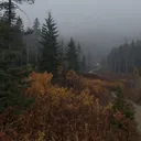 🦌𝐓𝐡𝐞 𝐌𝐞𝐚𝐝𝐨𝐰🦌[FRKS Tag]