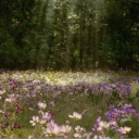 🌙𝐅𝐨𝐫𝐤𝐬 𝐅𝐨𝐫𝐞𝐯𝐞𝐫🌙 Discord server icon