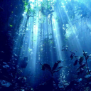 Whispers in the Water Discord server icon