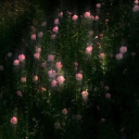 gutz's grove Discord server icon